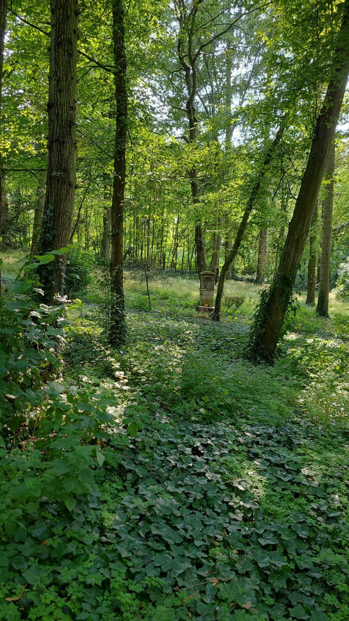 Le Manoir Paradi Presles-et-Thierny